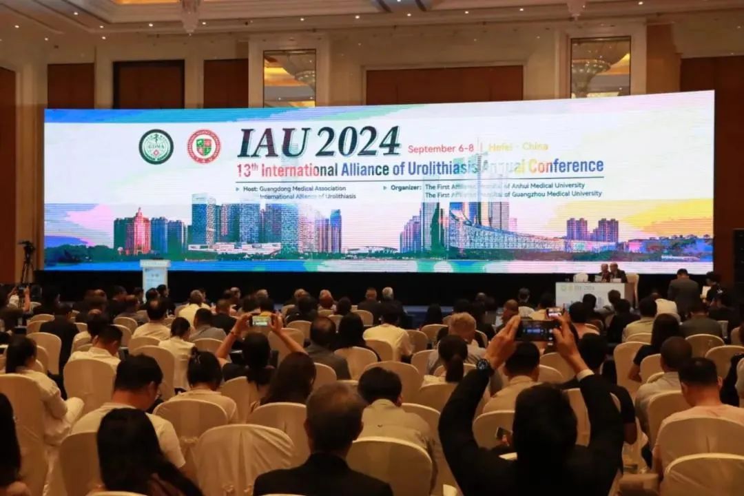 四川结石病医院孙剑鸿主任应邀参加第13届国际尿石症联盟IAU年会(图4) 四川结石病医院孙剑鸿主任应邀参加第13届国际尿石症联盟IAU年会(图4)