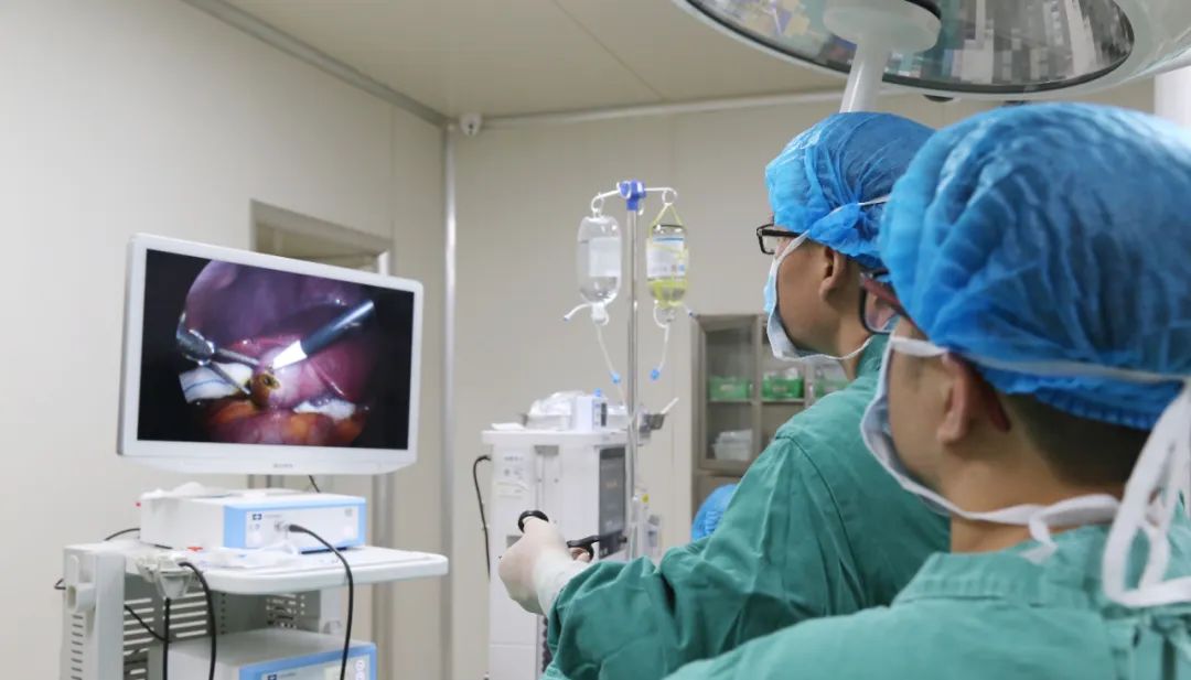 “保胆取石+疤痕隐形”:这场学术盛会让保胆技术“卷”出新高度「全国保胆取石基地」(图2) “保胆取石+疤痕隐形”:这场学术盛会让保胆技术“卷”出新高度「全国保胆取石基地」(图2)